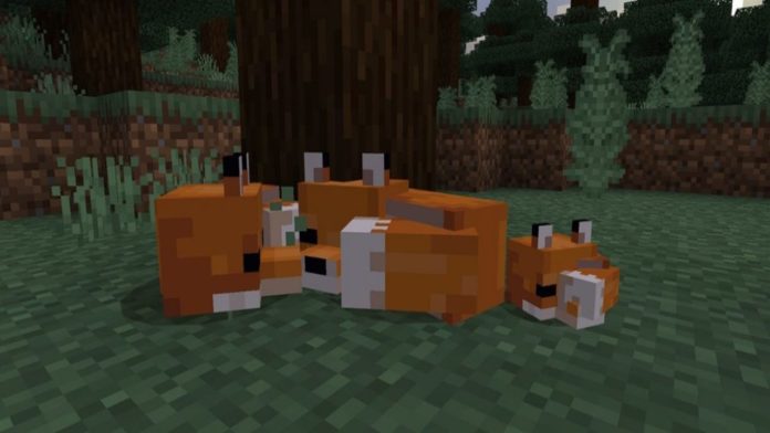 Minecraft-Foxes
