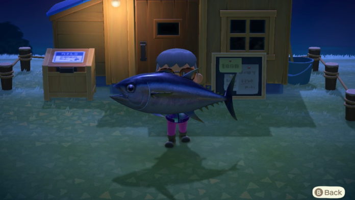 Animal-Crossing-New-Horizons-How-to-Catch-Rare-Fish
