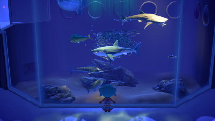 Animal-Crossing-New-Horizons-–-How-to-Catch-Sharks