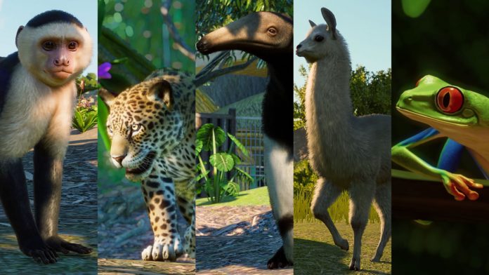 Le pack Amérique du Sud de Planet Zoo ajoute quelques favoris aux fans
