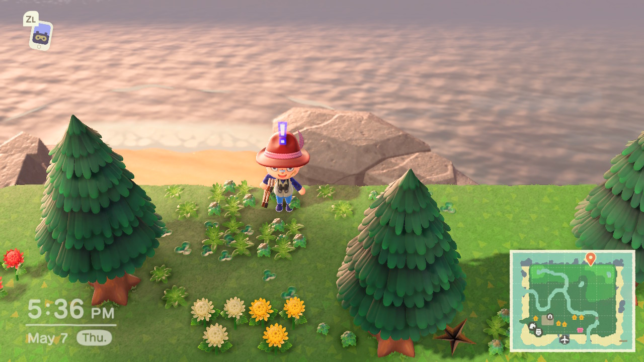 Animal Crossing: New Horizons - Comment découvrir votre plage secrète et à quoi elle sert