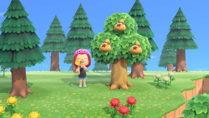 Animal Crossing: la séquence de folie de New Horizons se poursuit au Japon
