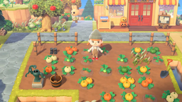 Animal-Crossing-New-Horizons-Pumpkins