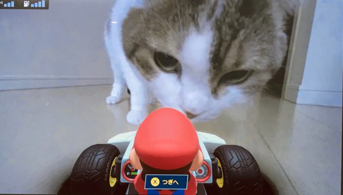 Les chats rendent Mario Kart Live encore plus amusant
