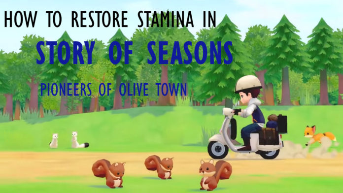 story-of-seasons-pioneers-of-olive-town-how-to-restore-stamina