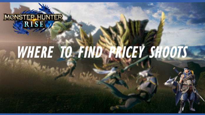 monster-hunter-rise-pricey-shoots