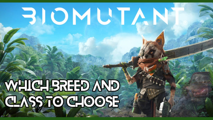 biomutant-breed-and-class-1