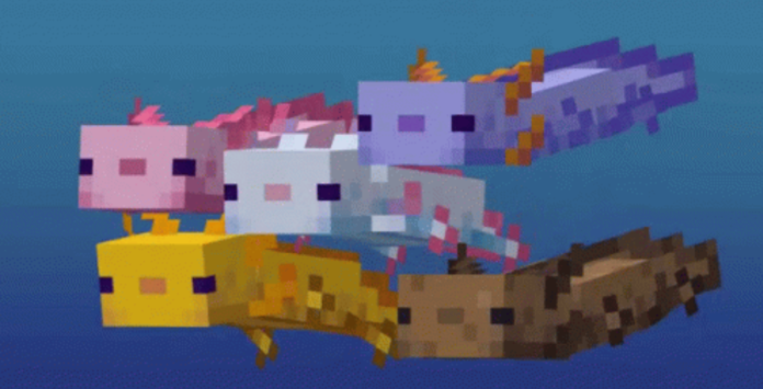Minecraft: Caves & Cliffs – Comment faire apparaître Axolotl dans votre graine
