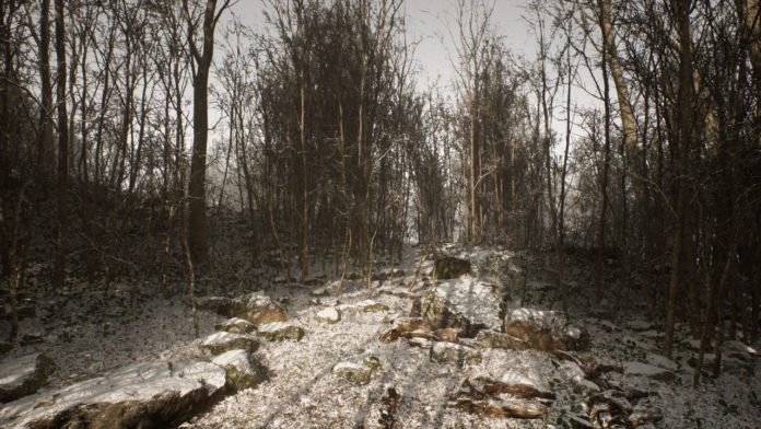abandoned-PS5-app-screenshot-of-woods