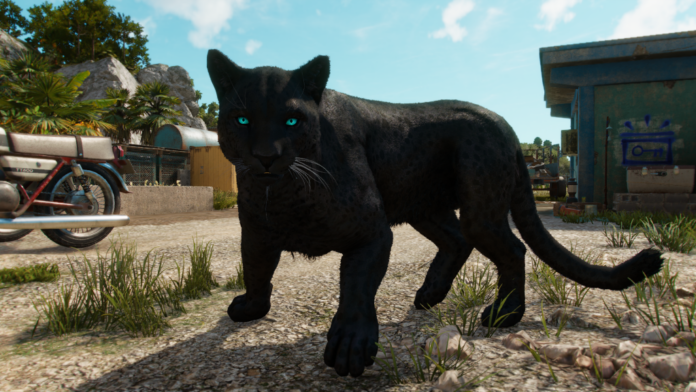  Far Cry 6 : Comment débloquer le Black Panther Amigo et tirer à travers les murs |  Guide des reliques de la Triada
