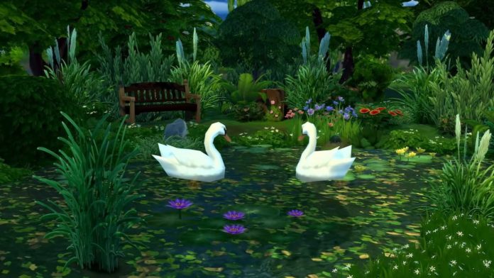 Sims 4: Comment construire un étang
