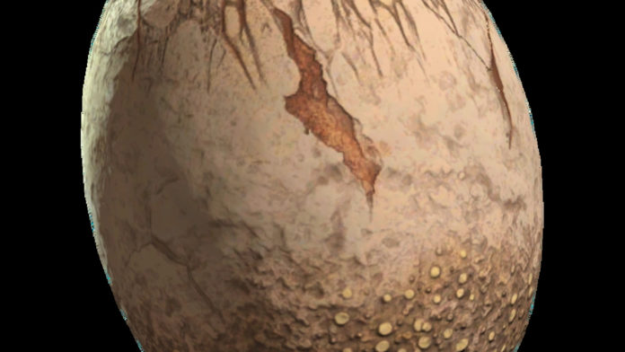 Où trouver des œufs de Mirelurk dans Fallout 76
