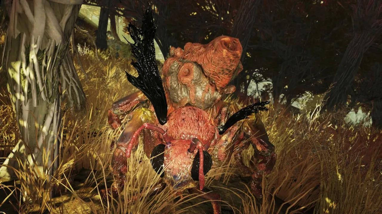 fallout-76-insectes