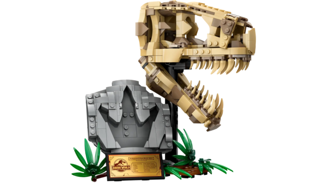 Fossiles de dinosaures : ensemble de crâne de T. Rex de LEGO