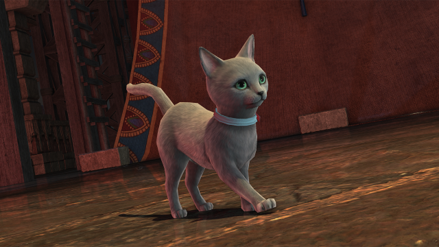 Le serviteur Bluecoat Cat dans Final Fantasy XIV
