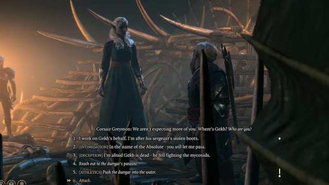 Conversation d'Ebonlake dans Baldur's Gate 3 avec le corsaire Greymon