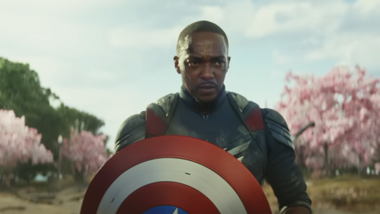 Anthony Mackie