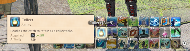 Collecter est une action qui peut être utilisée par les pêcheurs dans Final Fantasy XIV