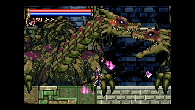 critique de la collection avancée de castlevania