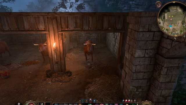 Lieu de l'acte 2 de Strange Ox dans Baldur's Gate 3