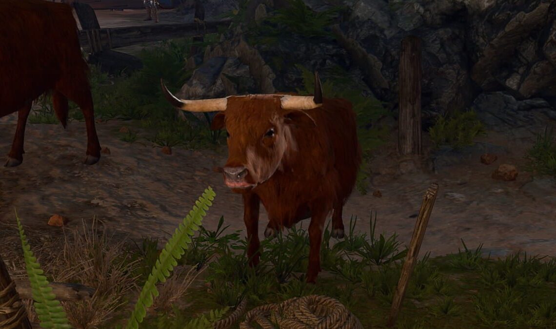 Baldur's Gate 3 Strange Ox