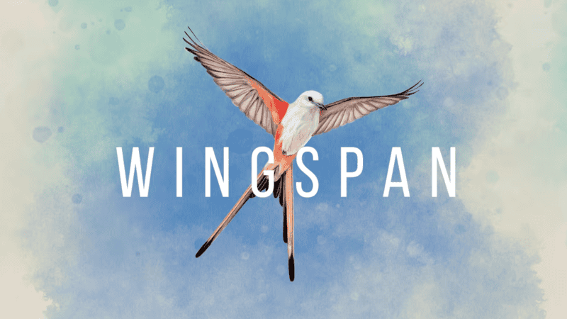 Wingspan