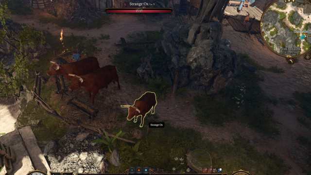 Lieu de l'acte 1 de Strange Ox dans Baldur's Gate 3