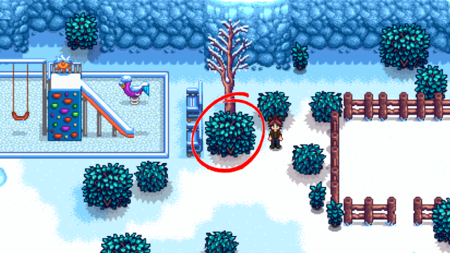 Le buisson avec lequel vous devez interagir pour terminer « Un mystère hivernal » dans Stardew Valley