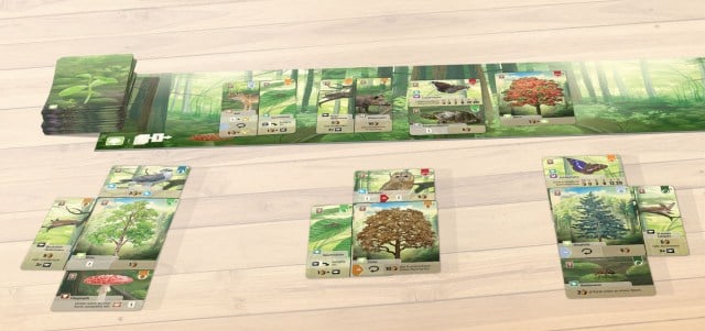 jeu de cartes mélangé en forêt