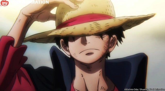 Luffy en une seule pièce