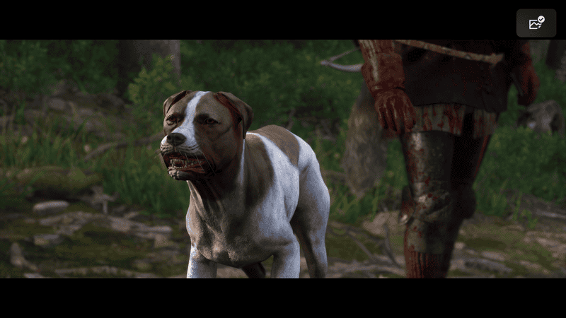 Kingdom Come: Deliverance 2 - Comment obtenir votre chien | Emplacement de Mutt